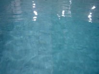 Swimming - a great sport