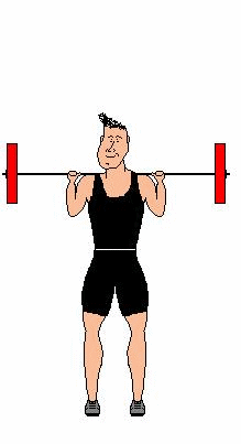 Shoulder Press Weights Exercise